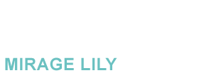Mirage Lily Mirage Lily